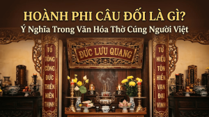 Hoanh Phi Cau Doi La Gi